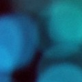 Bokeh-301